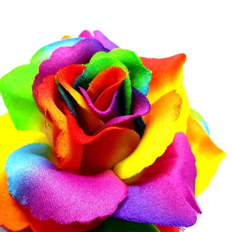 375 Rainbow Silk Rose Heads Pack Of 4 Fabric