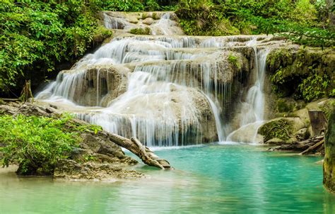 Wallpaper Forest River Waterfall Forest River Landscape Jungle