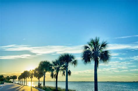 Miami Florida Beach Scenes On A Sunny Day Photograph By Alex Grichenko Fine Art America