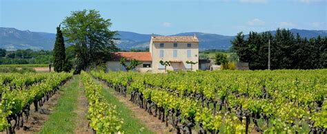 Visit Champagne Wine Region France Tour Packages