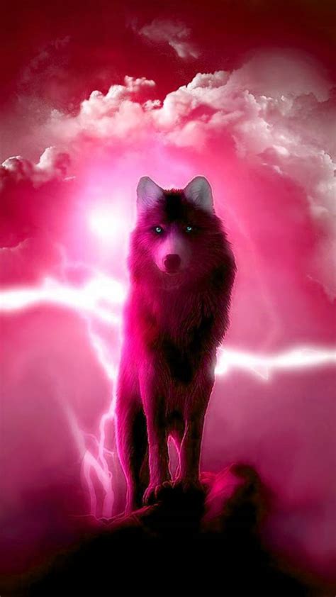 Pink Wolf Wallpapers Top Free Pink Wolf Backgrounds Wallpaperaccess