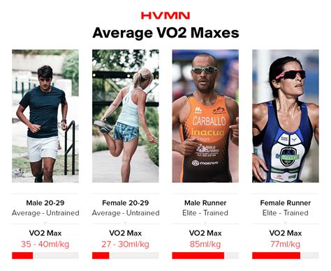 Average Vo2 Max By Age And Gender Arabic Blog