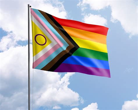 LGBTQ Pride Gift Intersex Inclusive Progress Pride Flag Etsy