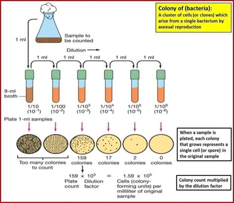 Pin By Andres Sanchez On Microbiology Teaching Biology Medical
