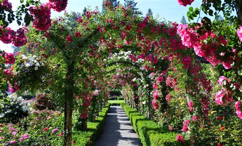 Find hotels near butchart gardens, canada online. The Butchart Gardens - Victoria, Canada - Visiting in the ...