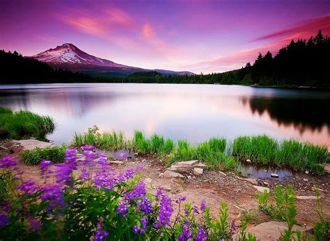 Free Mountain Scene Wallpapers Tags Mountain Lake Scene