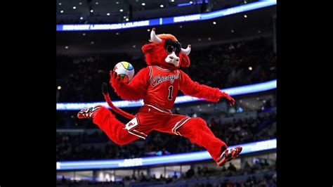 Mascote Chicago Bulls