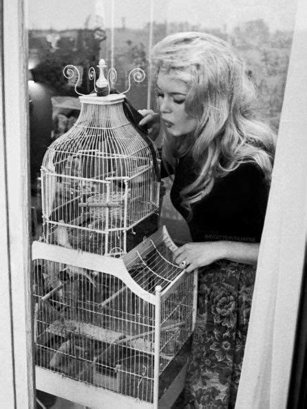 Brigitte Bardot Showing Guapa The Parrots C Photographed By Luc