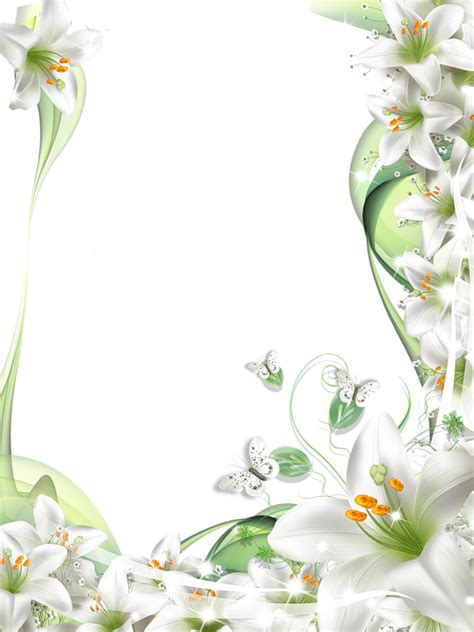 Transparent Png Photo Frame With White Lilies Flowers Flower Frame