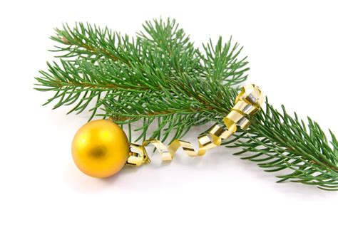 Christmas Decoration And Tree Branch Stock Photo Image Of Celebration