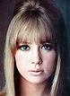 Pattie Boyd photo gallery - high quality pics of Pattie Boyd | ThePlace