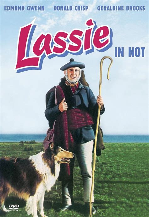 Lassie In Not Dvd Oder Blu Ray Leihen Videobusterde