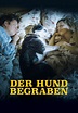 Der Hund begraben: DVD, Blu-ray oder VoD leihen - VIDEOBUSTER.de