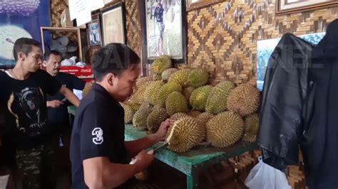 Maybe you would like to learn more about one of these? Warso Farm Bogor_Wisata Kebun Durian_Januari 2020 - YouTube