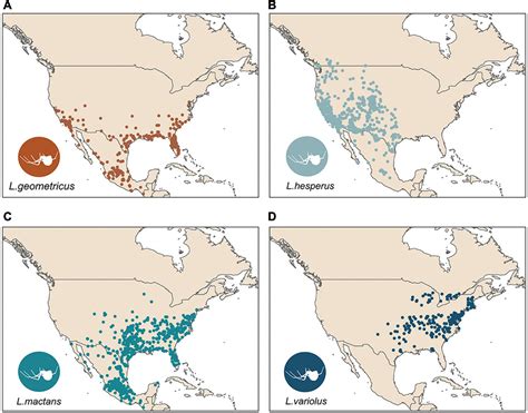 Brown Recluse Spider Map