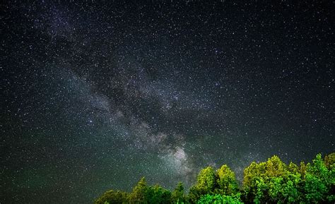 Hd Wallpaper Milky Way Galaxy Can Be Seen Through Tree Leaves Green