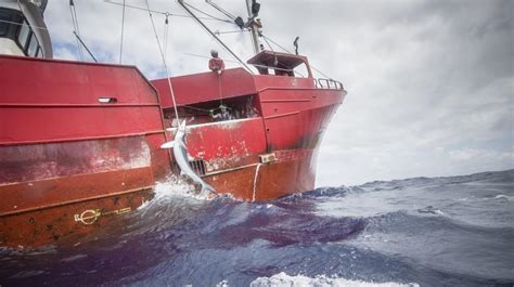Un Barco Gallego Denuncia El Hostigamiento De Greenpeace En La Pesca