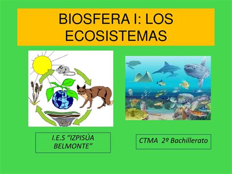 Ppt Biosfera I Los Ecosistemas Powerpoint Presentation Free