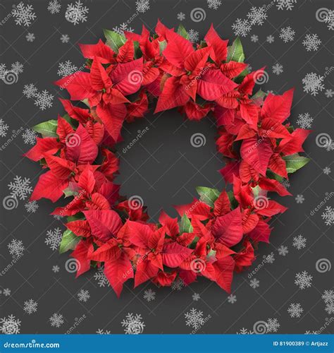 Christmas Wreath From Poinsettia Stock Image Image Of Shape Element