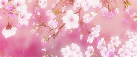 Wonderful pic pink flowers aesthetic popular some sort of. ***currently editing*** Daybreak (ˈdeɪˌbreɪk) n the time ...