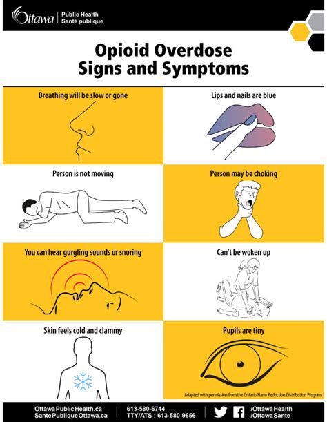 Opioid Overdose Signs And Symptoms Umbrella Project