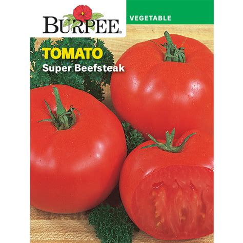 Burpee Burpees Supersteak Hybrid Tomato Vegetable Seed 1 Pack