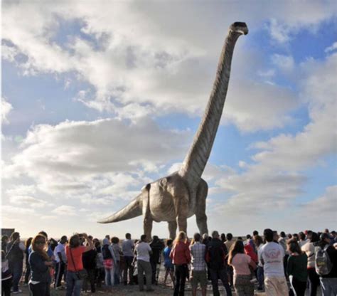 Solved How Did The Largestlongest Dinosaurs Hold 9to5science