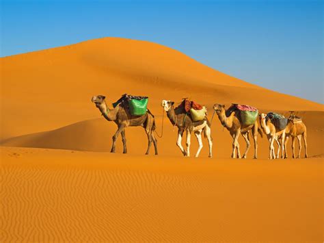 12 Most Beautiful Deserts In The World 2023 Travel Guide Trips To Discover