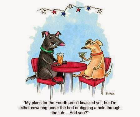 It's a free online image maker that allows you to add custom resizable text to images. Pin by Lorrie Struiff on OH NO! MORE HUMOR | Dogs and fireworks, Dog comics, Dog quotes
