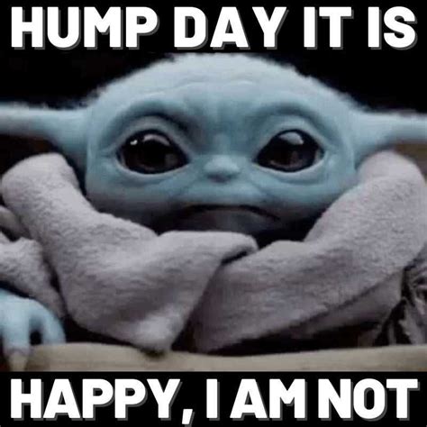 The Best Happy Hump Day Memes Artofit