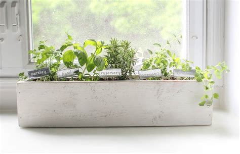 How To Create A Beautiful Kitchen Herb Garden Lovely Etc