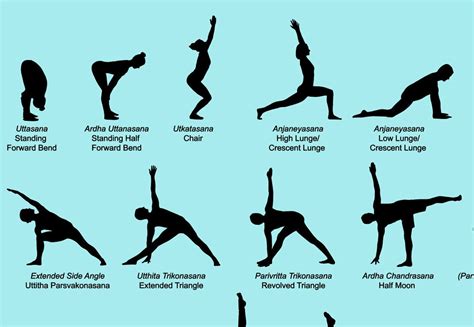 68 Vector Yoga Poses Each With Its English And Sanskrit Names