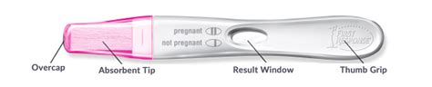 First Response Pregnancy Test Positive Results