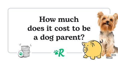 Cost Of Owning A Dog From Initial Cost To Annual Essentials