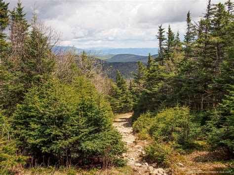 Hiking Mount Moosilauke New Hampshire New Hampshire Hampshire Hiking