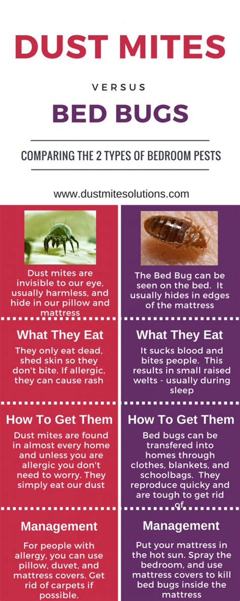 Think You Have Dust Mite Bites Again