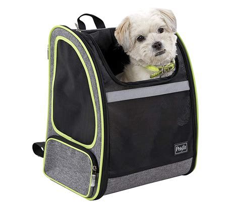 10 Best Dog Carrier Backpacks [Review & Guide] In 2020