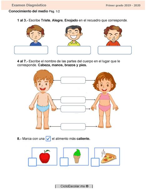 Examen Diagnóstico Primer Grado 2019 2020 Primeros Grados Examen Grado