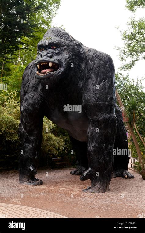 King Kong Model Banque De Photographies Et Dimages à Haute Résolution