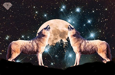Wolves Howling At The Moon The Meaning And Symbolism