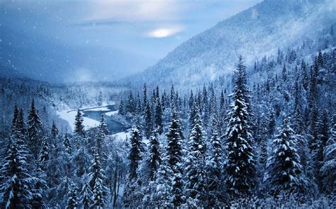 Bakgrundsbilder Träd Landskap Skog Vit Bergen Natur Snö Vinter
