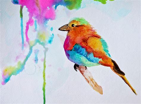 Cute Colorful Parrot Drawing Parrot Cartoon Tropical Colorful Sketch