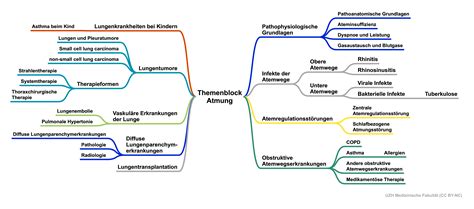 Mindmaps | VAM – Virtuelle Ausbildungsplattform Medizin | UZH