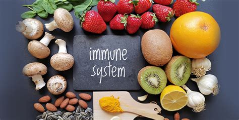 How To Improve Your Immune System Everything You Need To Know