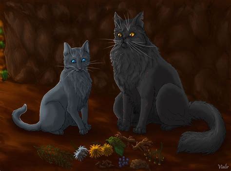 Cinderpelt And Yellowfang Warrior Cats Series Warrior Cats Books