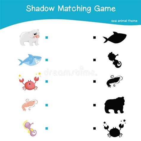 Sea Animal Matching Shadow Stock Vector Illustration Of Matching