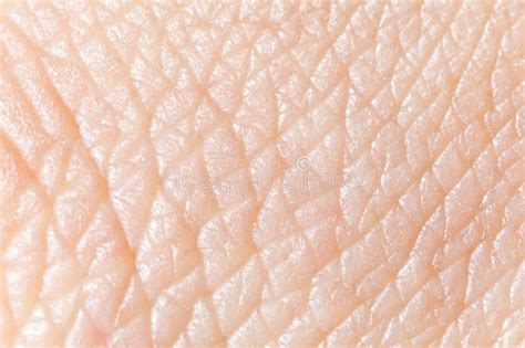 Human Skin Super Macro Texture Sponsored Skin Human Super