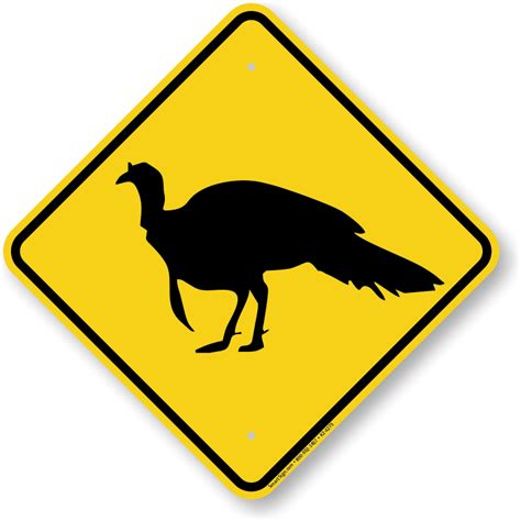 turkey crossing slow down turkey xing signs