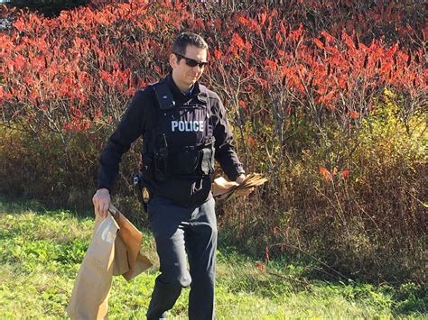 Womans Body Discovered In Woods In Moncton Cbc News