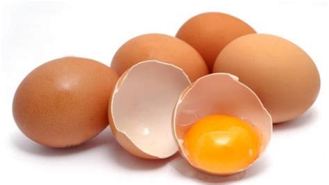 Gambar Telur Ayam Fertil Tidak Ada Bercak Putih Pada Permukaan Kuning